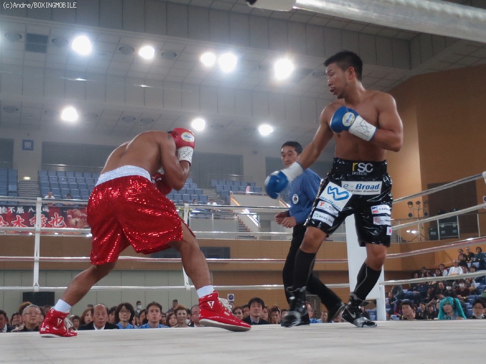 ���ł�����