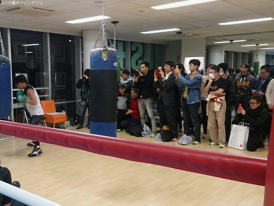 �V�����ɏ���ċ삯�����t�@������������