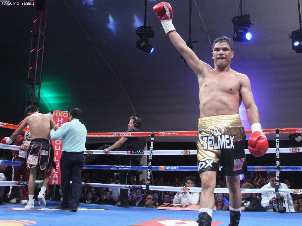 �t���I�E�Z�n