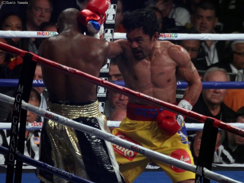 ���I�̈��