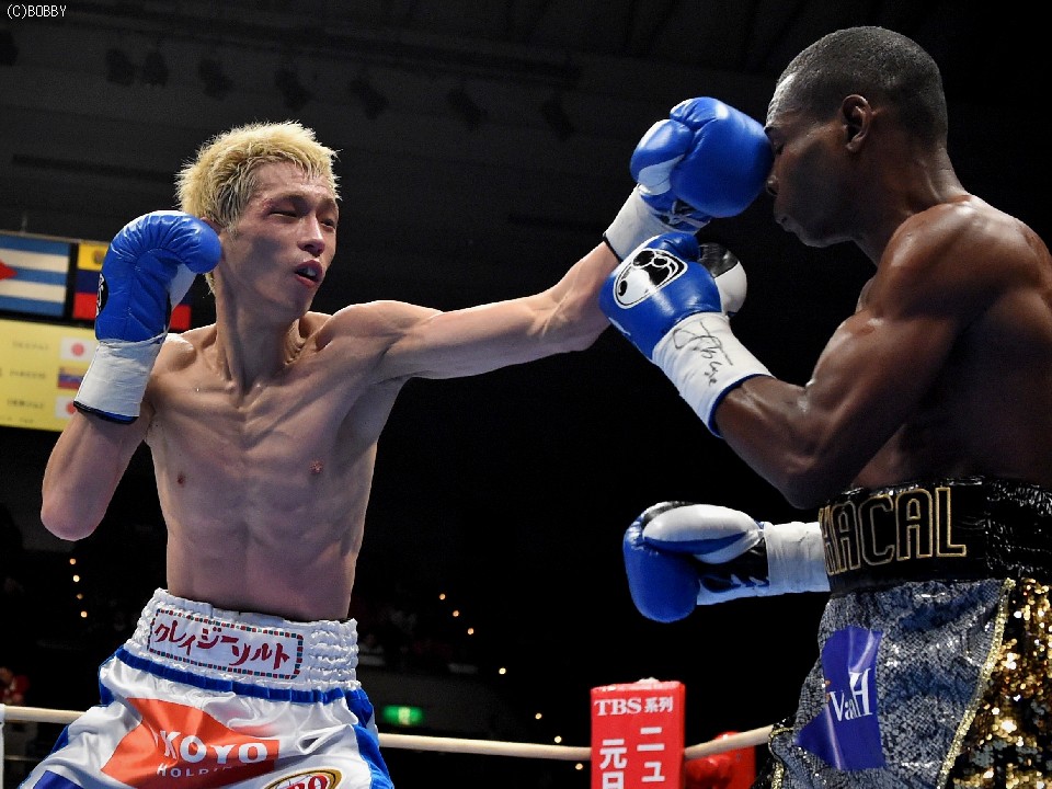 14�N��A���̃��S���h�[��