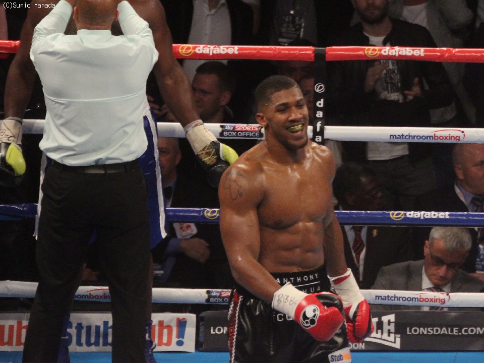 H����`�P�b�g 90�b�Ŋ���