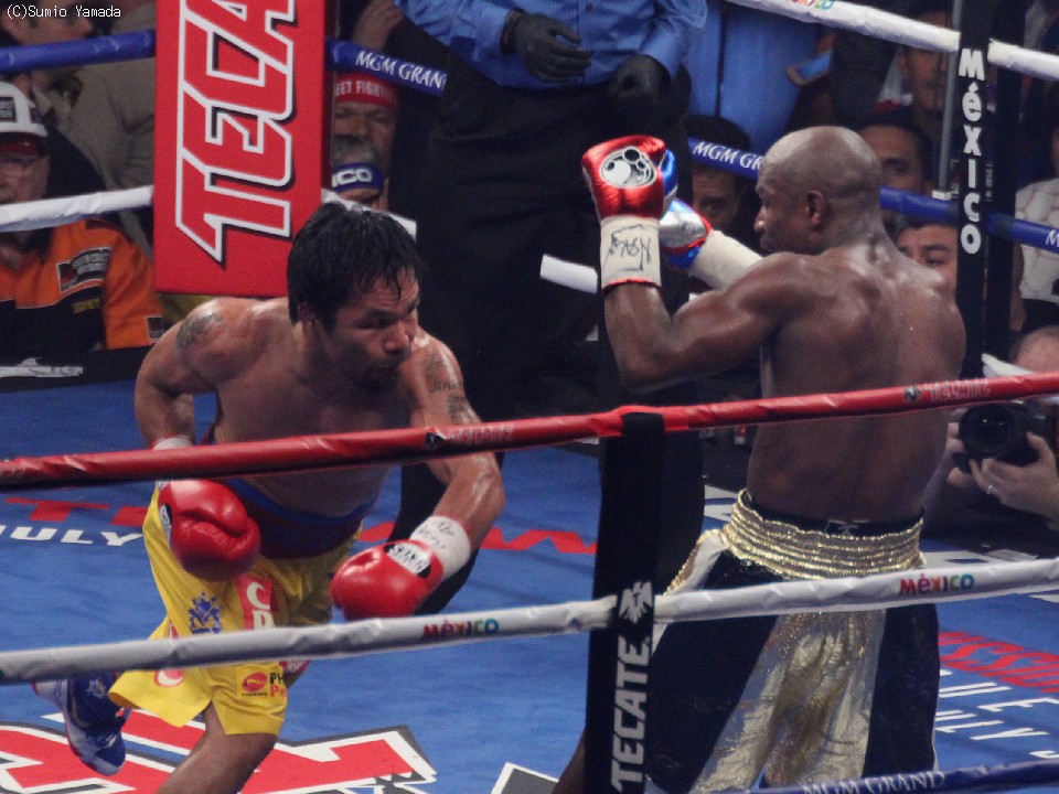 �}�j�[�E�p�b�L���I(��)