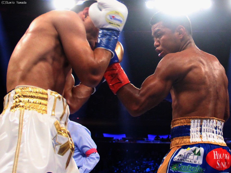 �u����ɏW���v�ƃ��}�S��