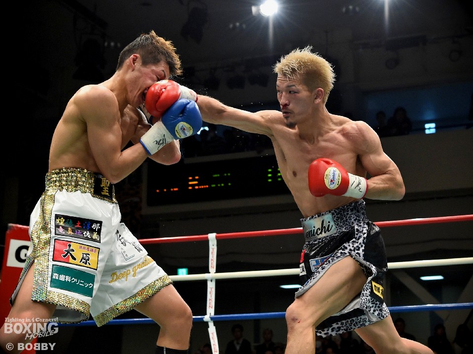 ���ł͔���������?