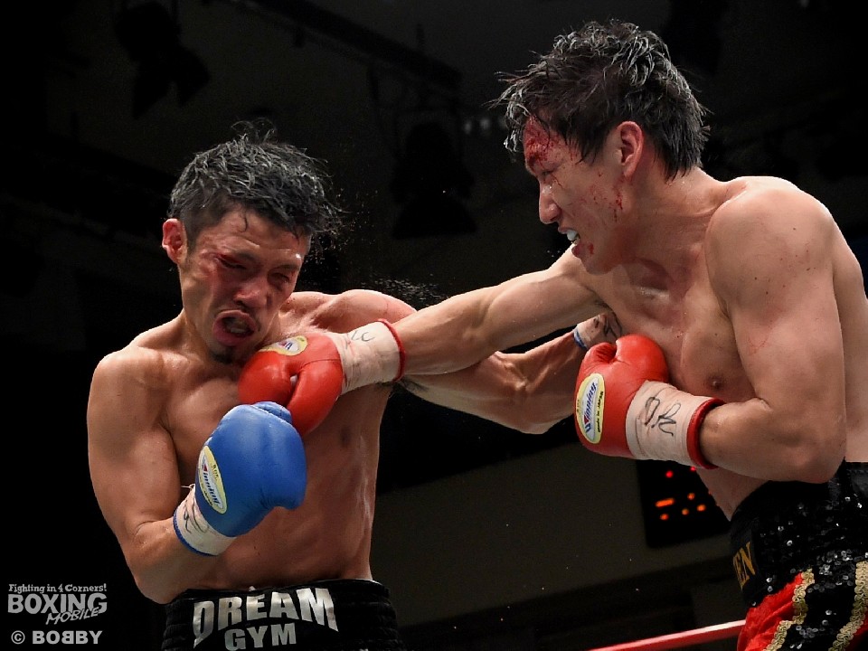 �Ζ{�N���̏��h�q��