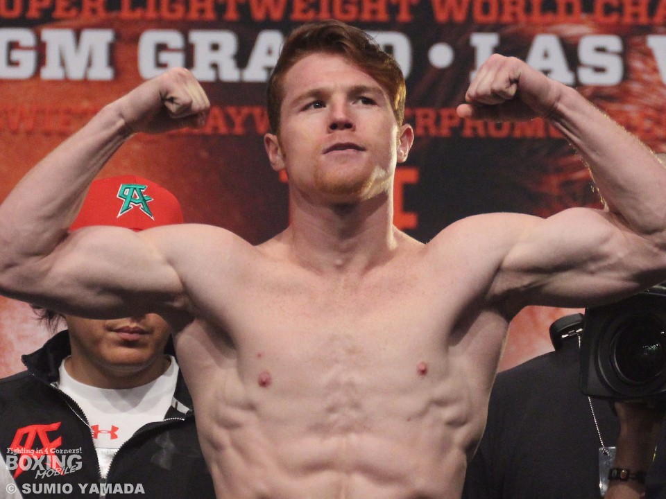 �A���o���X 163.8P