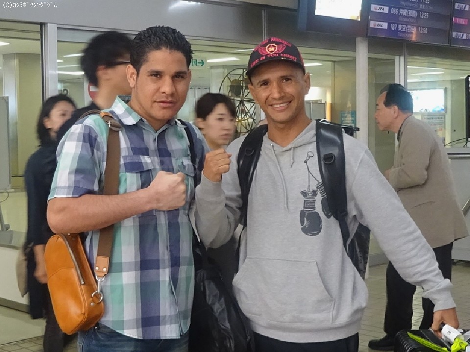 �t�@���E�����_�G�^������