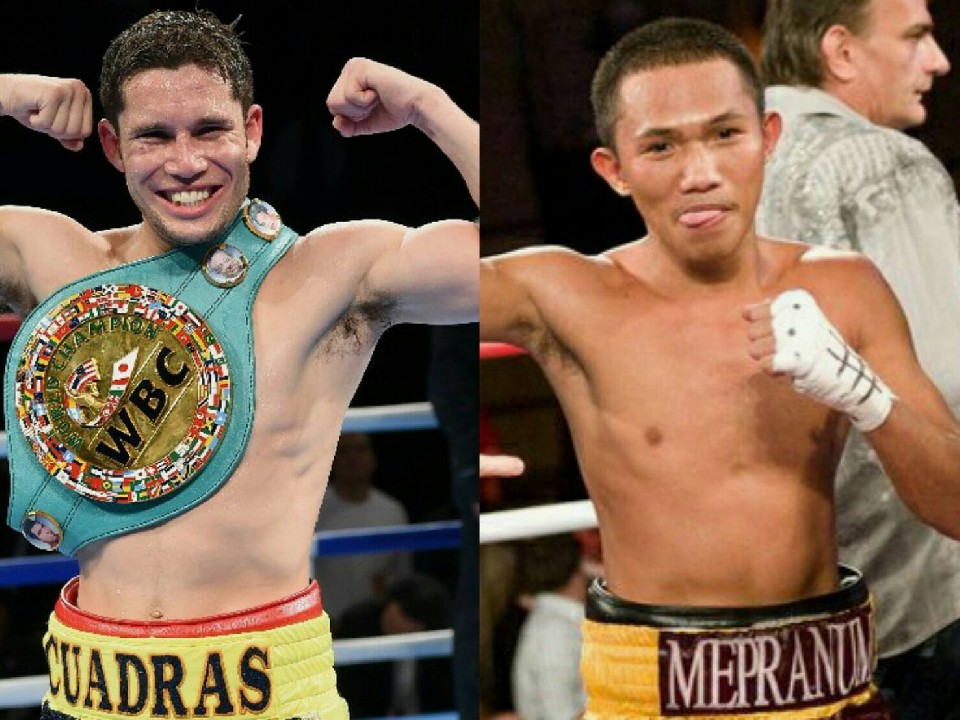 SF�����҃N�A�h���X��V6��