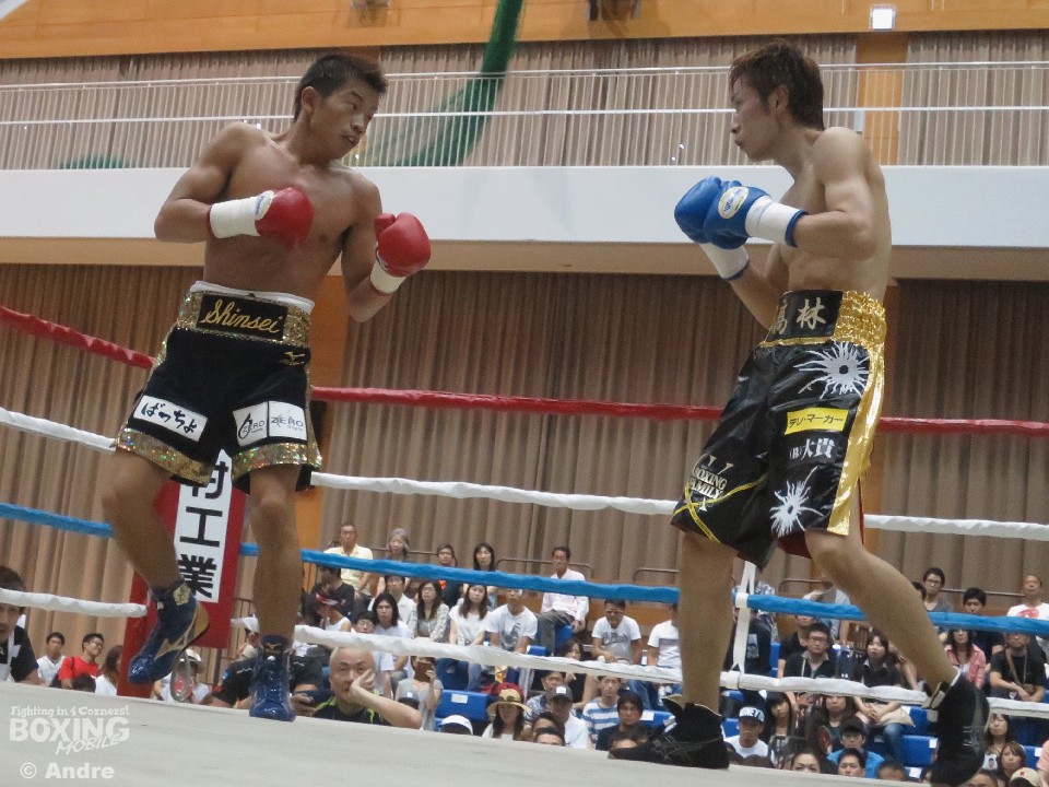 �쓇�ƍ���