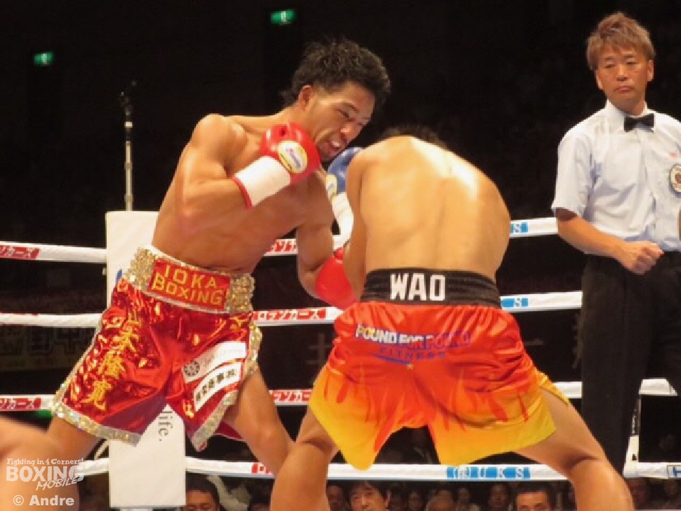 ���A�Ă̐w�B