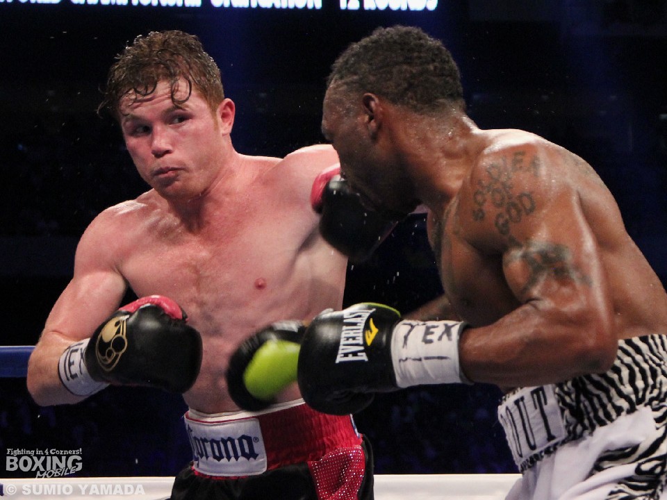 5���l�������ރJ�l����