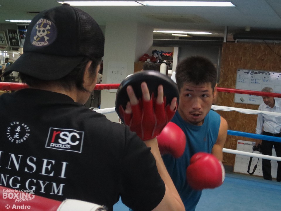 �����{�̉��҂ɒ��ލ����S�����̌�����