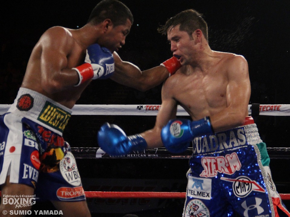 注目のスーパーフライ級戦線