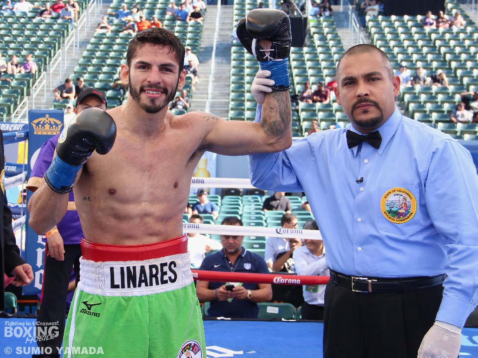 ���i���X ���菟���������