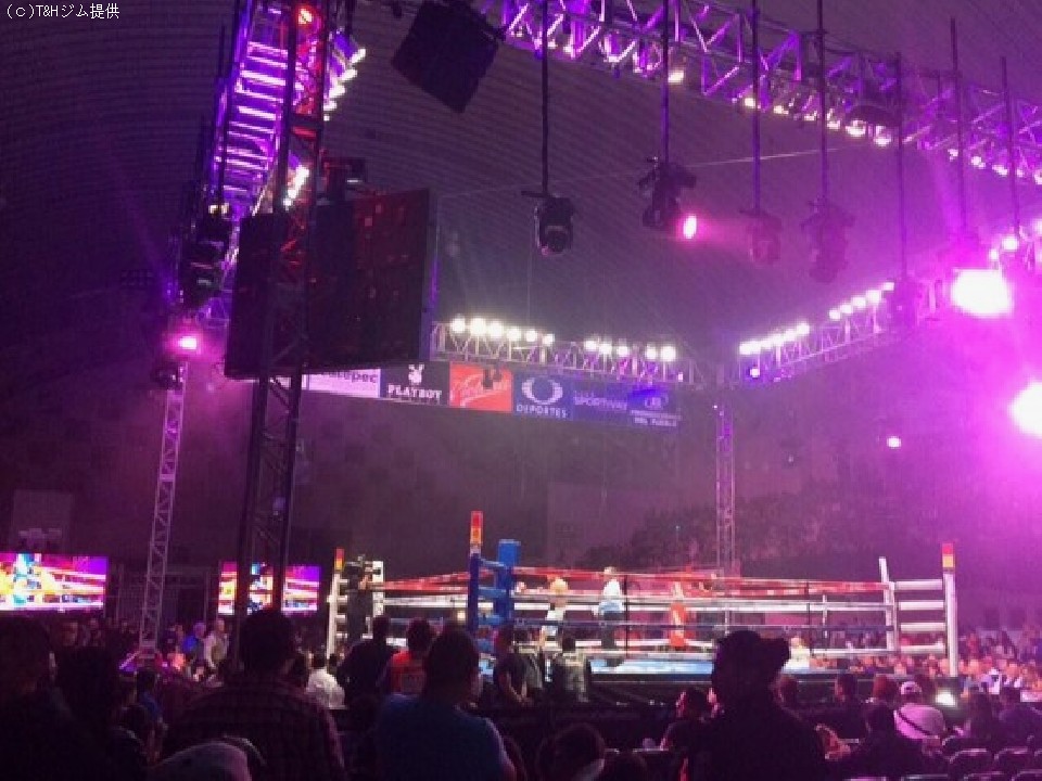 �����ޕ�q�̐��E����