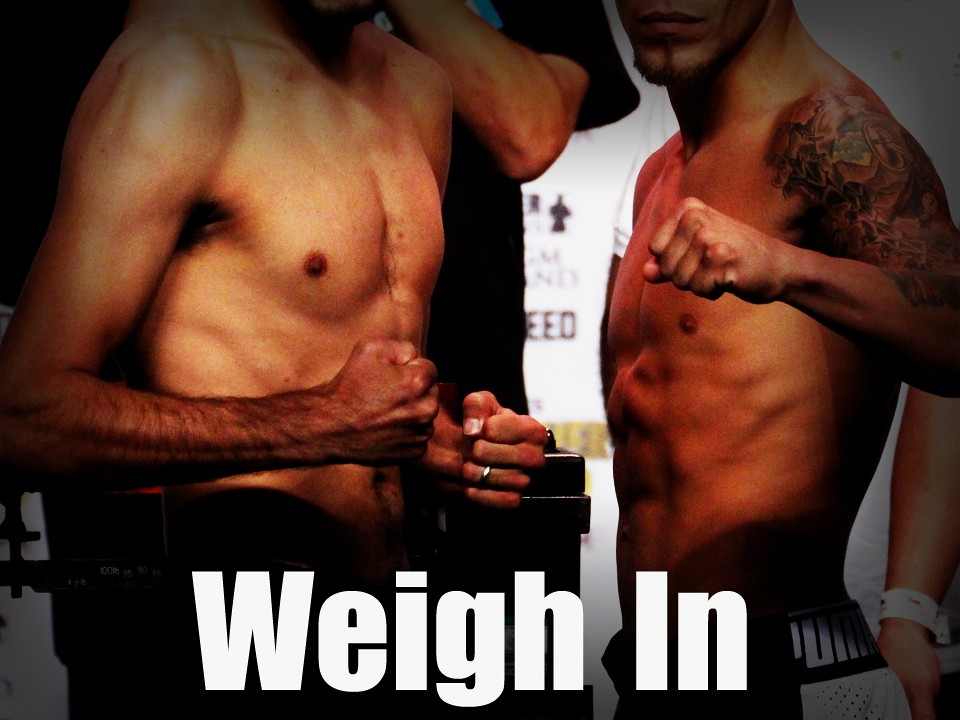 WBC�N���[�U�[����