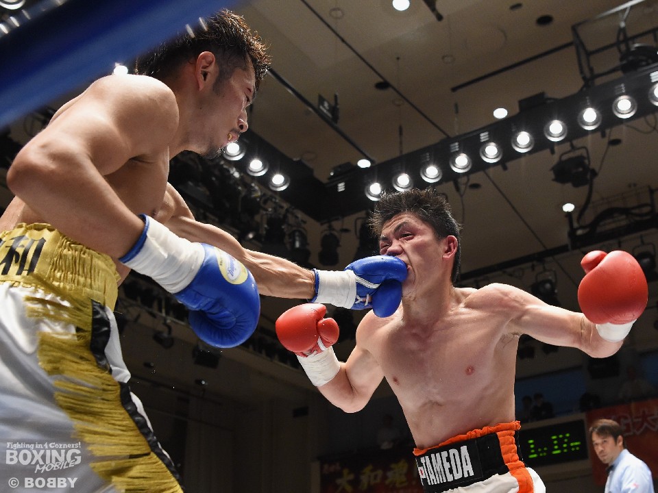 �t�F�U�[���̖�����S������?