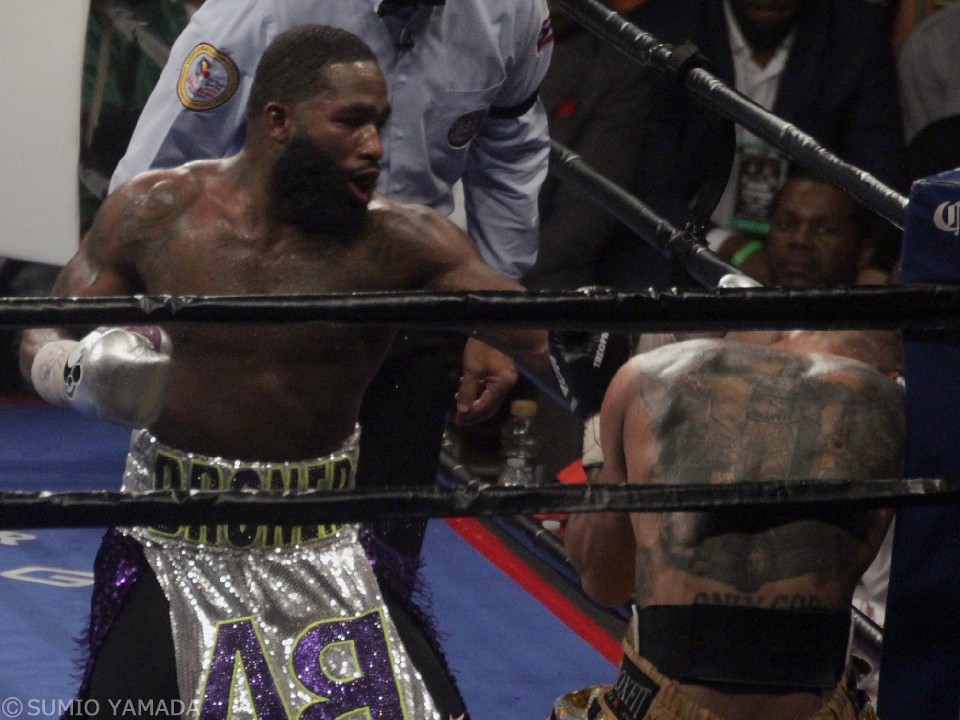 �G�C�h���A���E�u���[�i�[