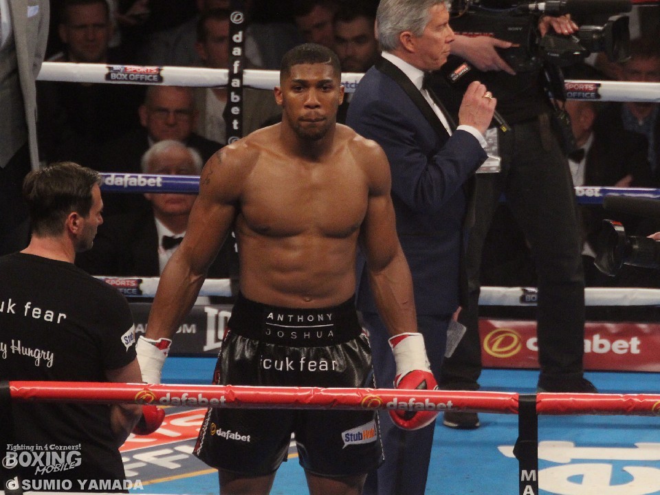 �A���\�j�[�E�W���V���A(�p��)