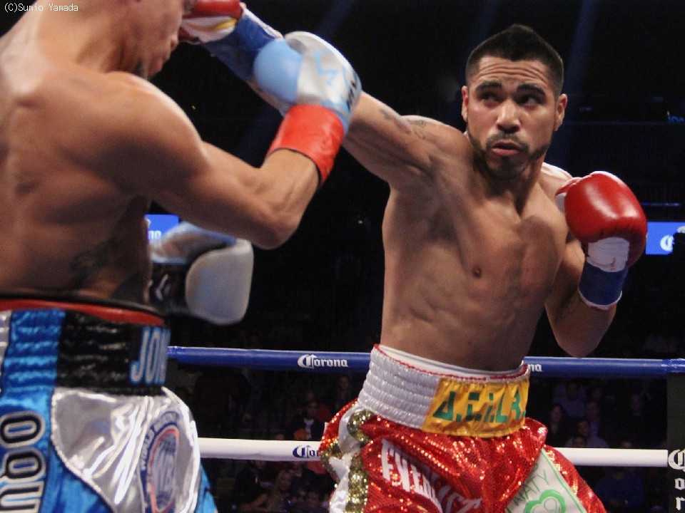 �N�F�W������KO�錾