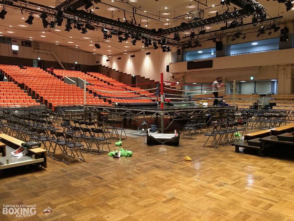 2016�N�̌�y���z�[���͑ł��[��