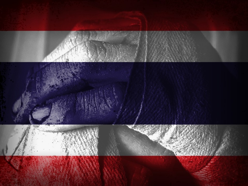 �����w����25����V6��