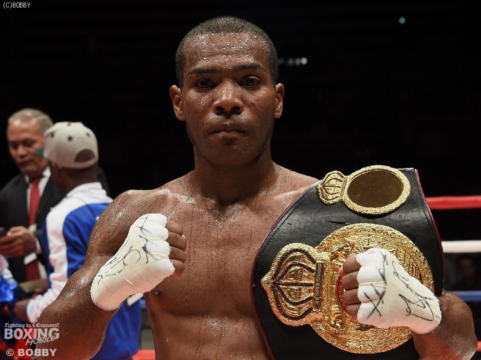 �W�F�X�����E�R�����X(�p�i�})