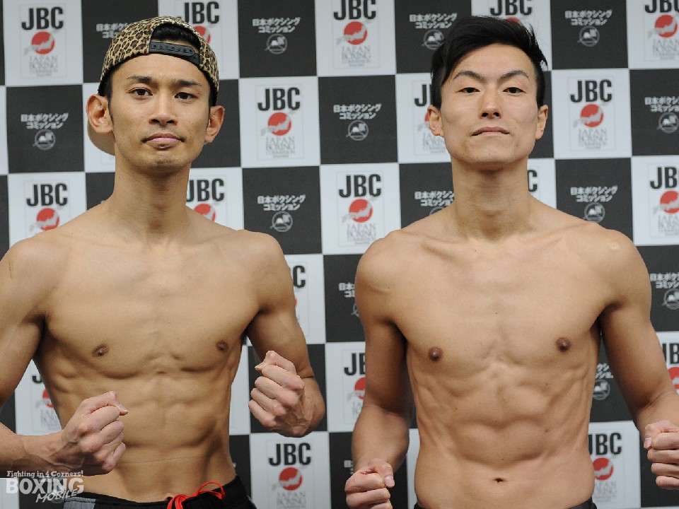 ���艤�҂̒|���ǂɐV�s��������