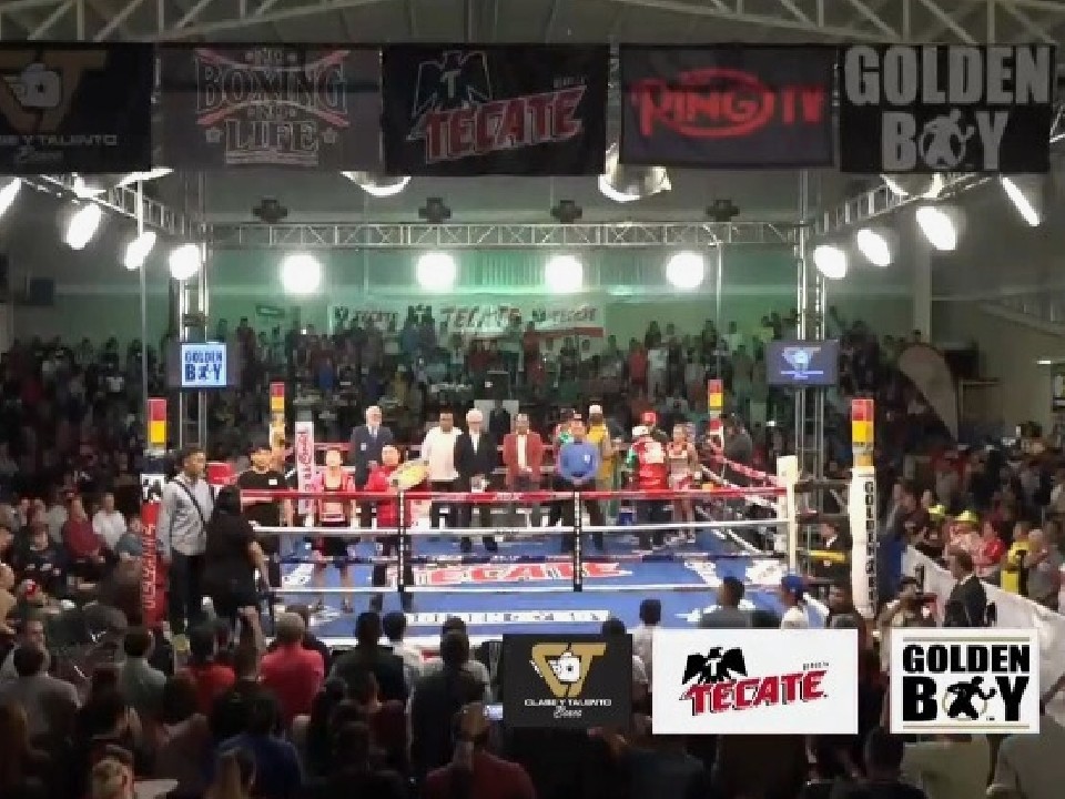 �ēc���q�A�G�n�Ŗh�q�Ȃ邩