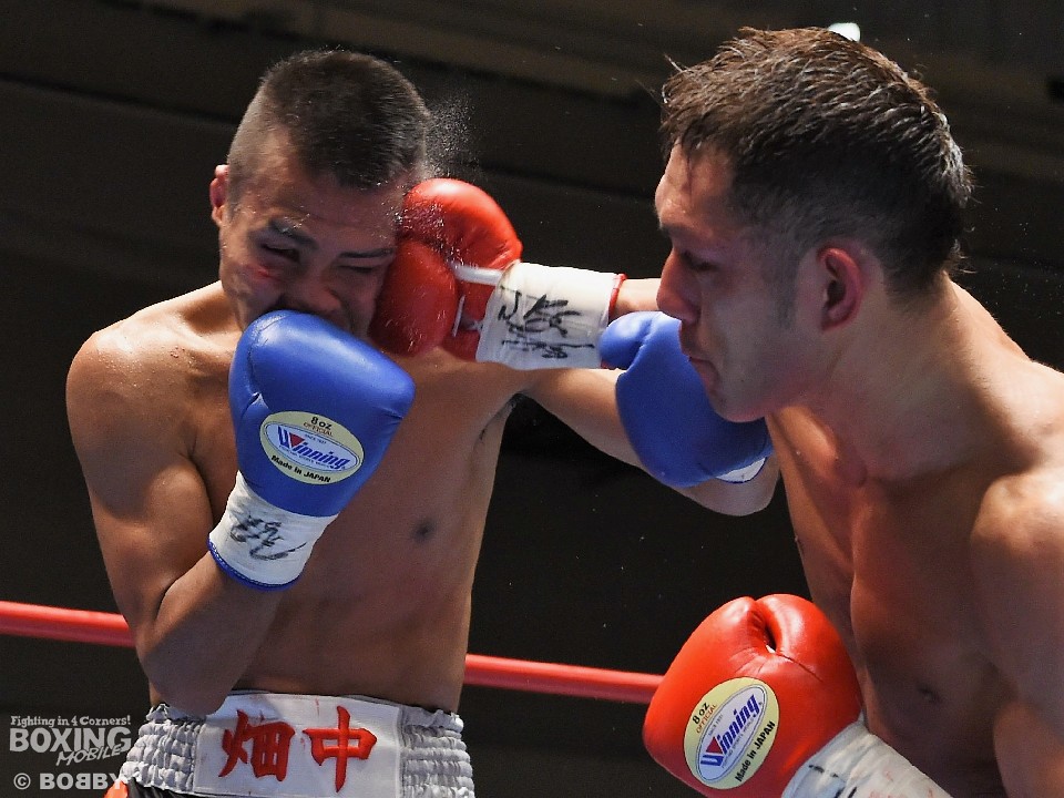 ���{������ �ԕ䗺�����Ղ��爳�|