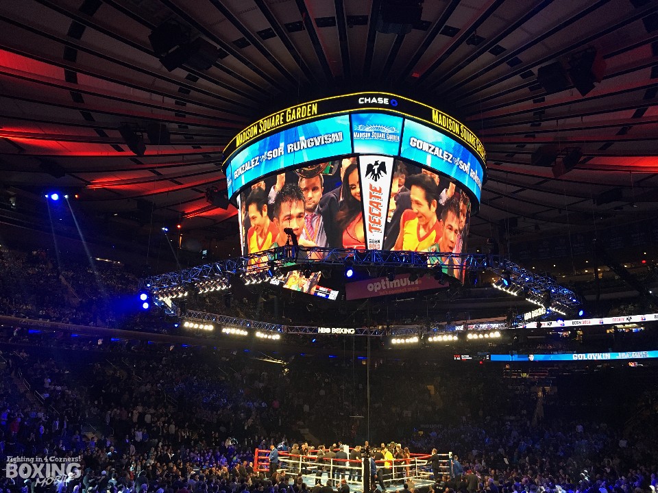 �S���T���Xvs�V�[�T�P�b�g