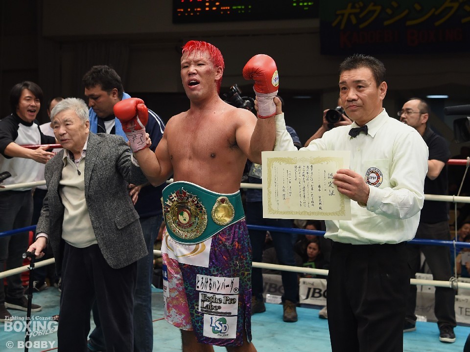 ���{�����Y��OPBF���h�q���5.8