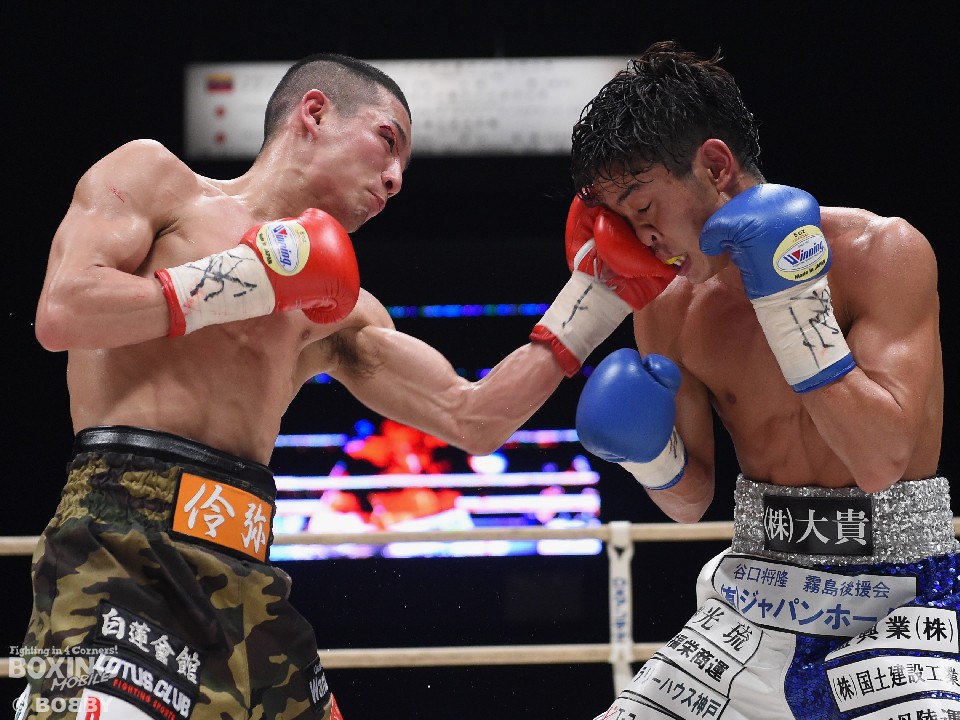 ���{�~�j�}�������������