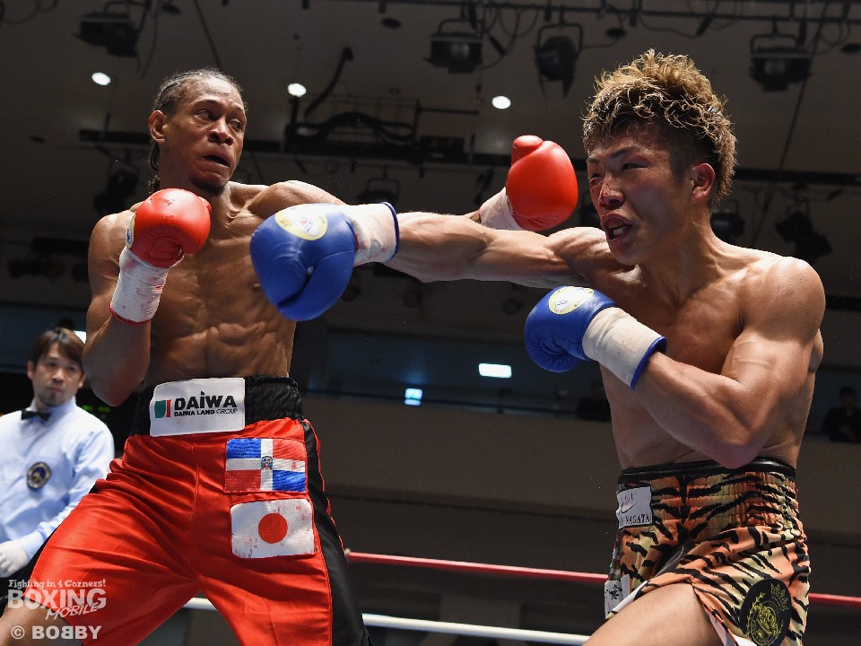 ���C���͔��͂���Ō���ƂȂ���