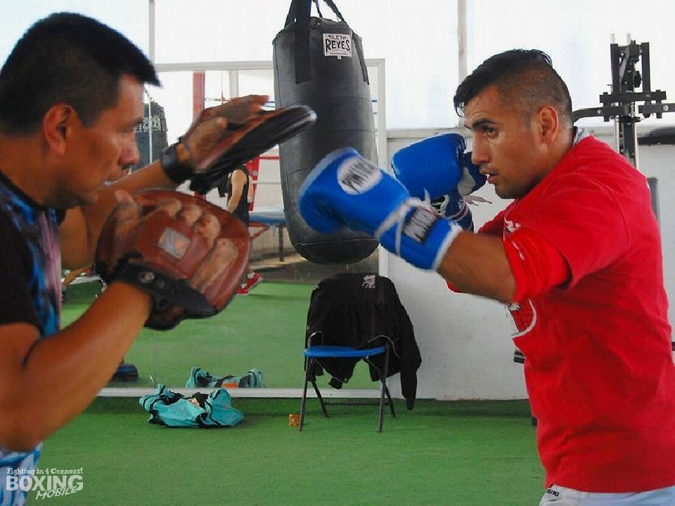 �t�@���E�G���i���f�X