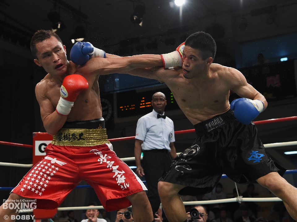 �ΐ삪�������x�z