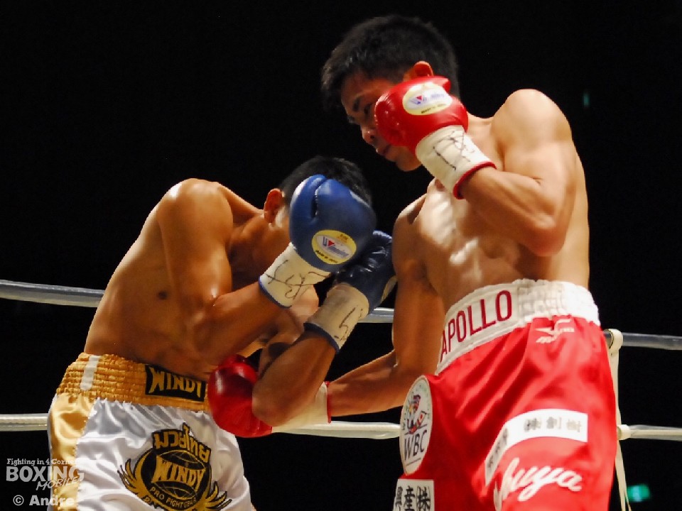 �m�[���f�B�A�Ə㌴���