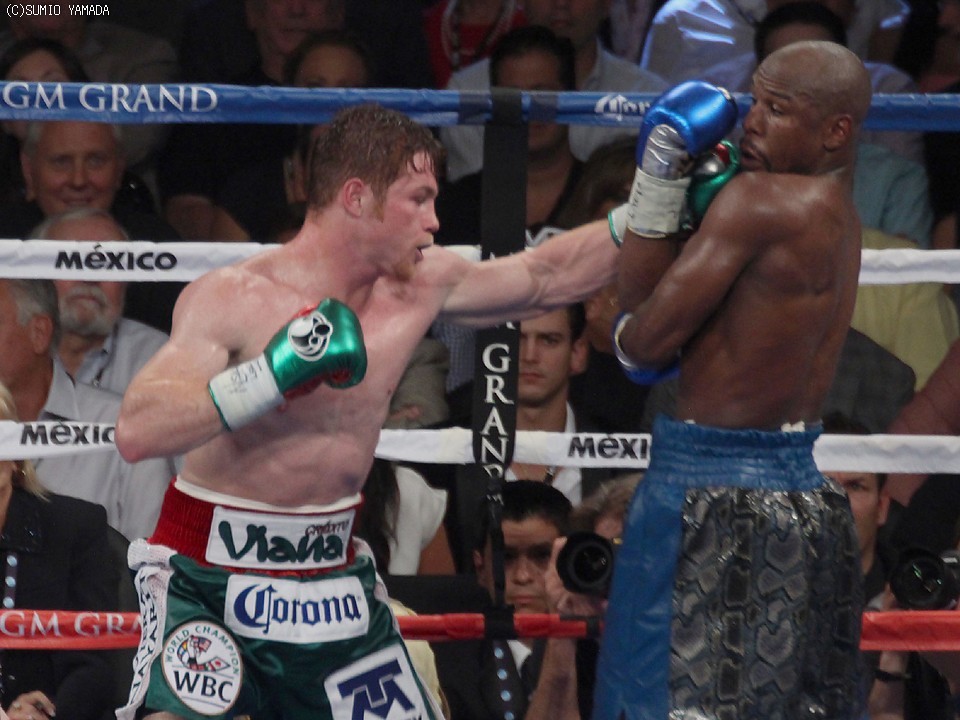 �A���o���Xvs���C�E�F�U�[