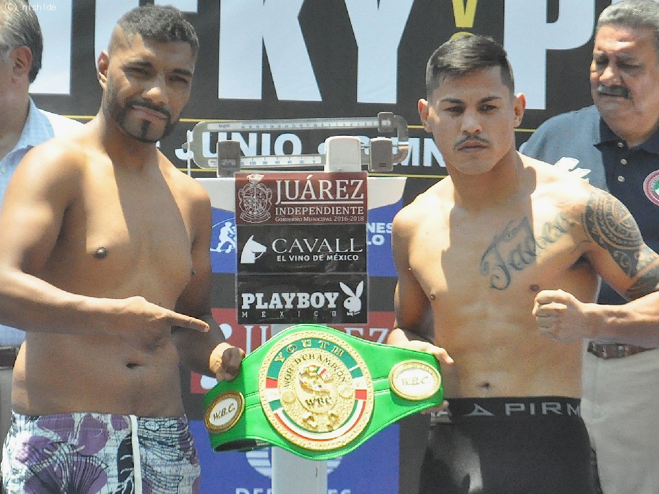 左:サギラン 右:ローマン