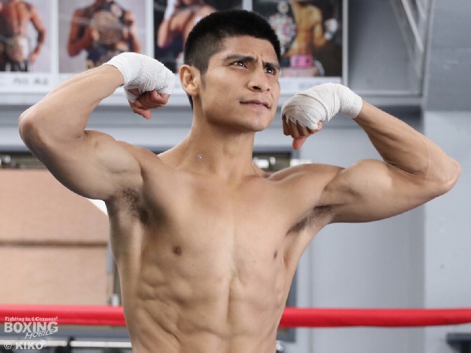 �z�Z�E�A���O���h�u�ό��ɗ����̂ł͂Ȃ��v 