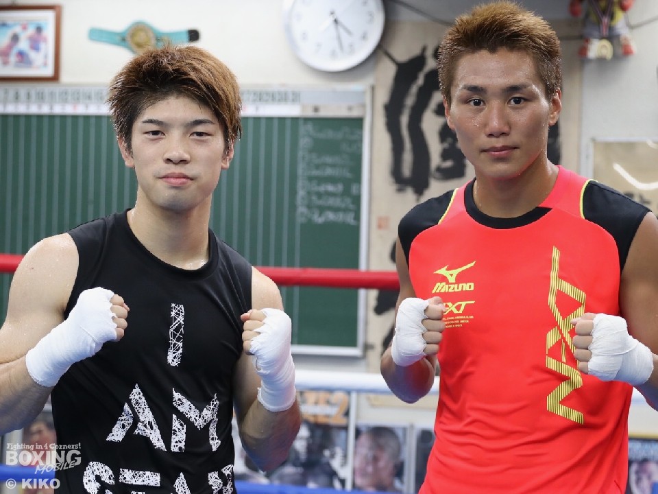 �����ȍڂƓc���P�������͂̎�����K