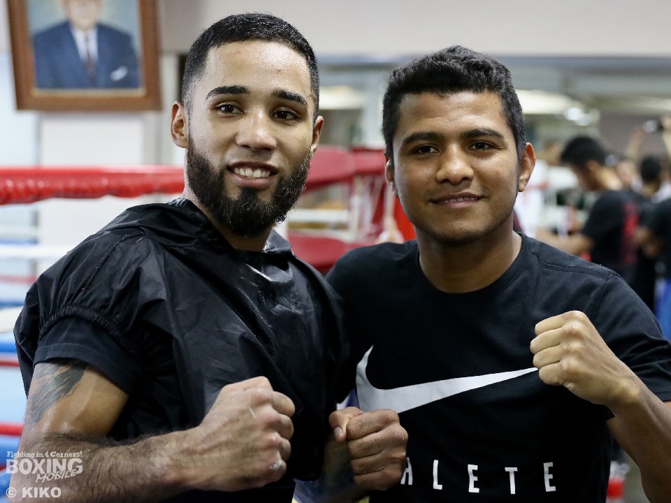 �R�����u�_�̍��v�Ȃ玄�́u�p���T�[�̍��v  