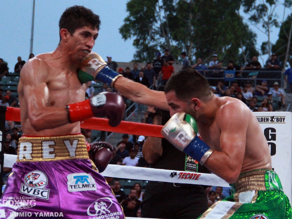 ���J���ς̌�p���҃o���K�X�ƒ���҃��I�X