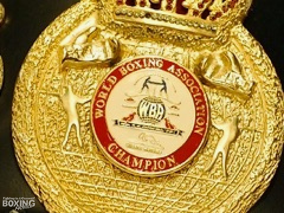 WBA(���E�{�N�V���O����)