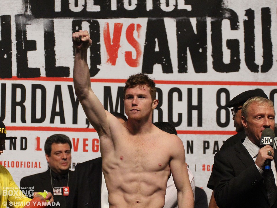 �T�E���E�J�l���E�A���o���X