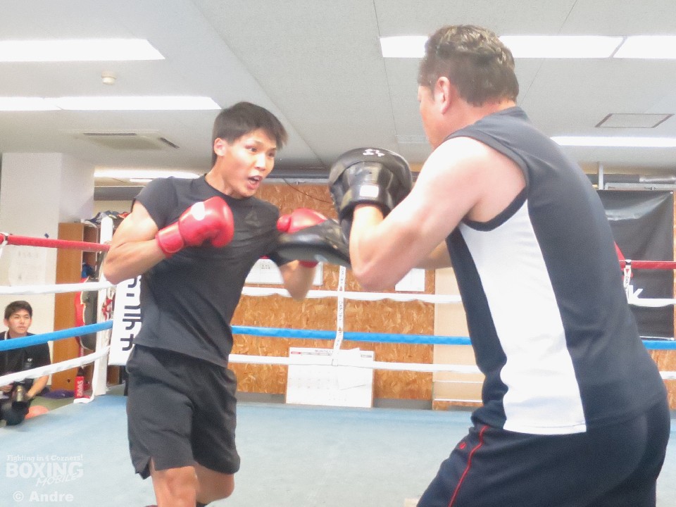 �v�۔��̌��J���K