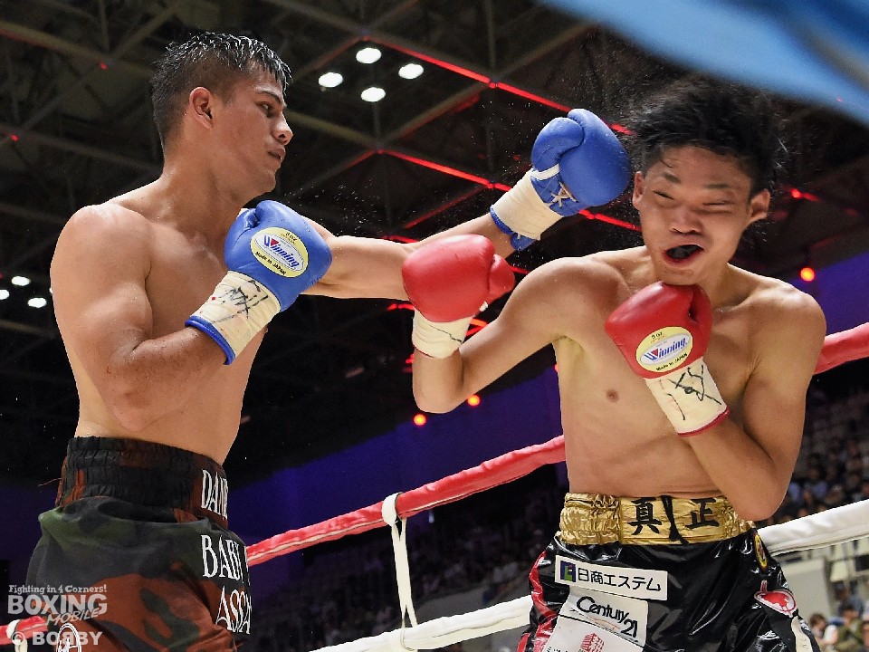 �v�۔��̏��h�q��!