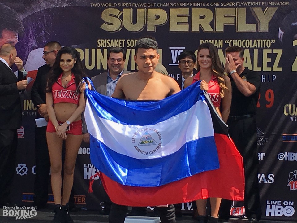 ���}�S�������x���W�錾!