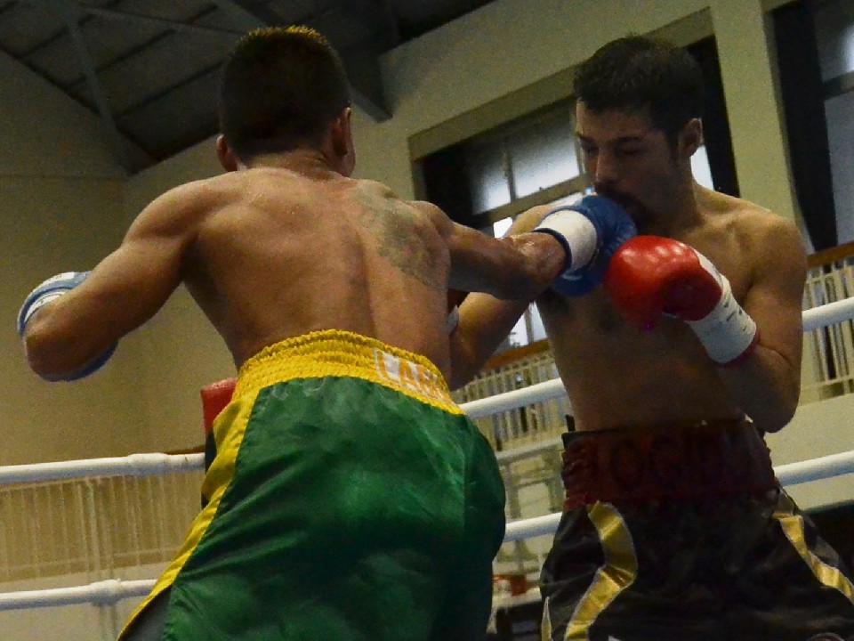 ����������OPBF�������w�m�ƍĐ�